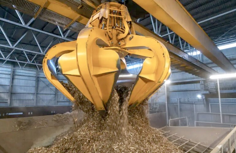 Biomasa avanzada: energía y captura de carbono