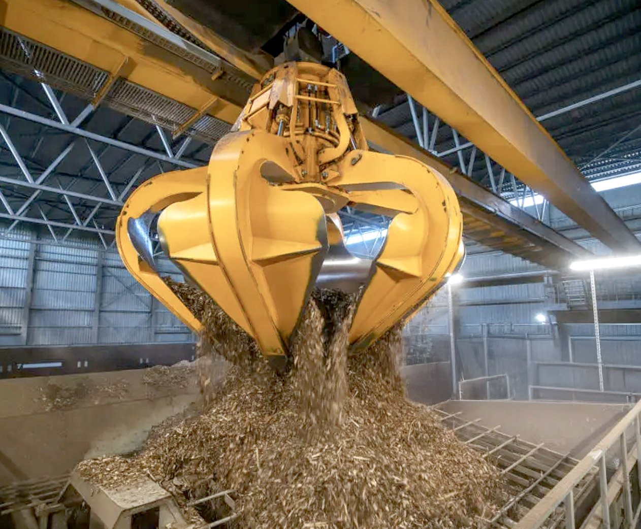 Biomasa avanzada: energía y captura de carbono