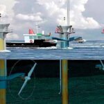 El poder predecible del océano