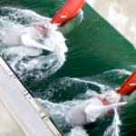 Un recurso oceánico con enorme potencial