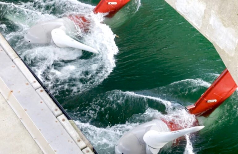 Un recurso oceánico con enorme potencial