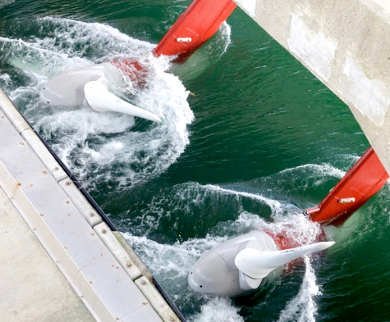 Un recurso oceánico con enorme potencial
